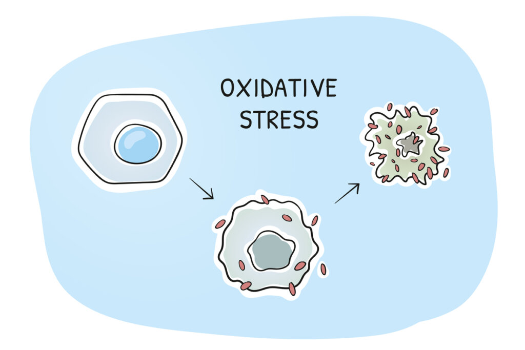 Células con estrés oxidativo