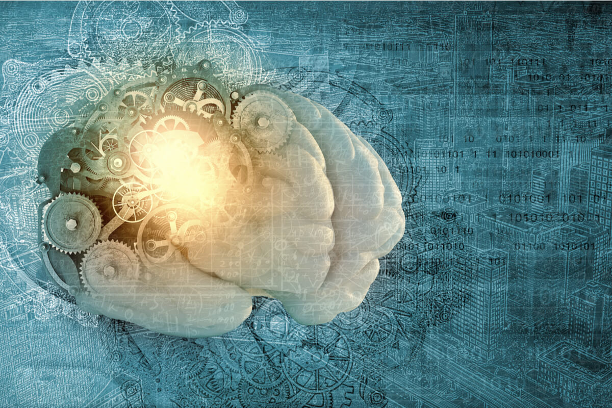 La neurobiología de la flexibilidad, sumando peldaños para el aprendizaje