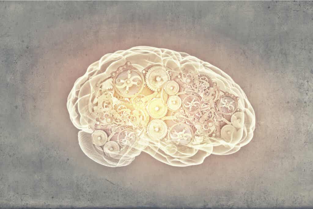 Cerebro con mecanismos iluminados