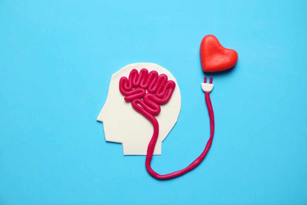 Brein verbonden met hart