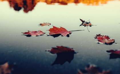 Astenia otoñal: causas, síntomas y afrontamiento