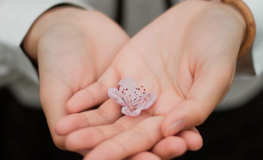 Manos con una flor representando la compasión humana