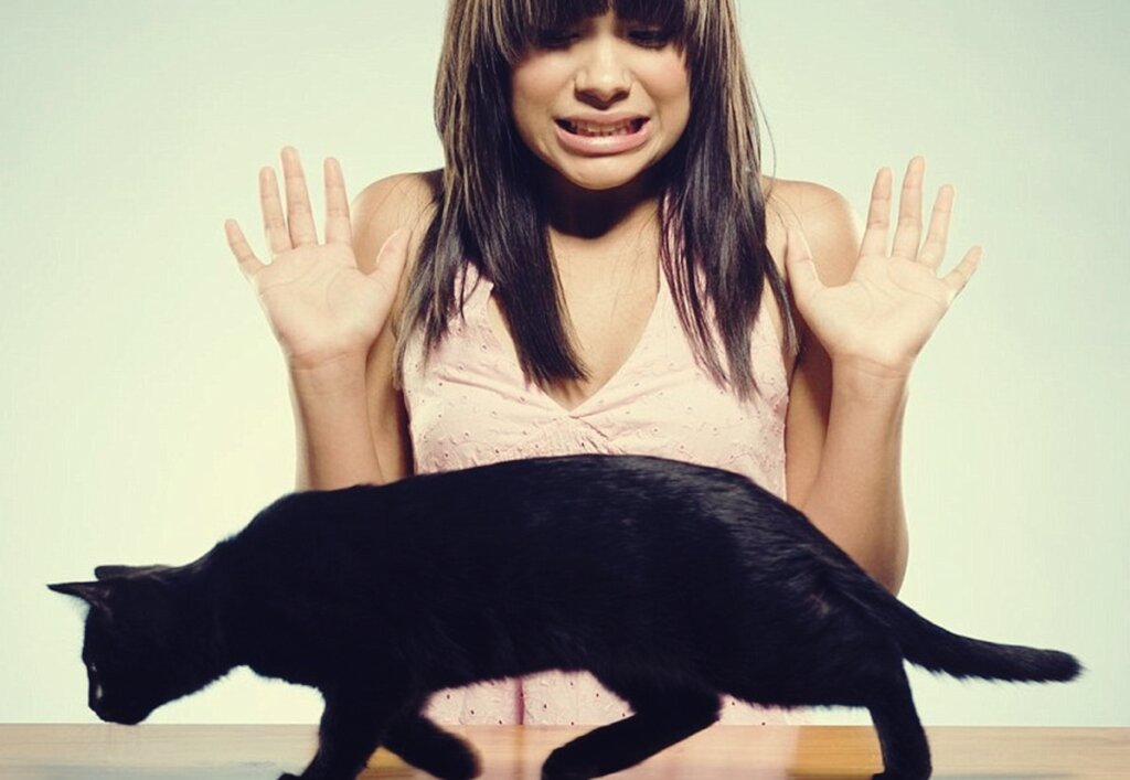 Chica con miedo a los gatos
