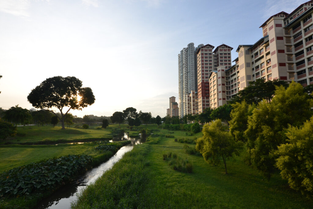 Parque en una ciudad