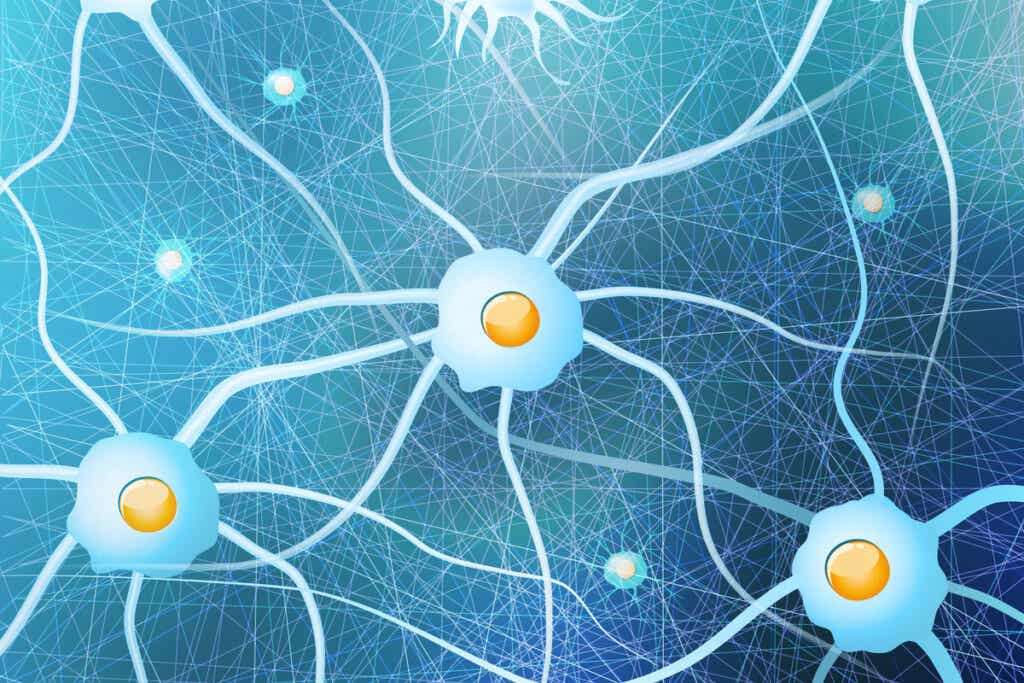 Células gliales con neuronas
