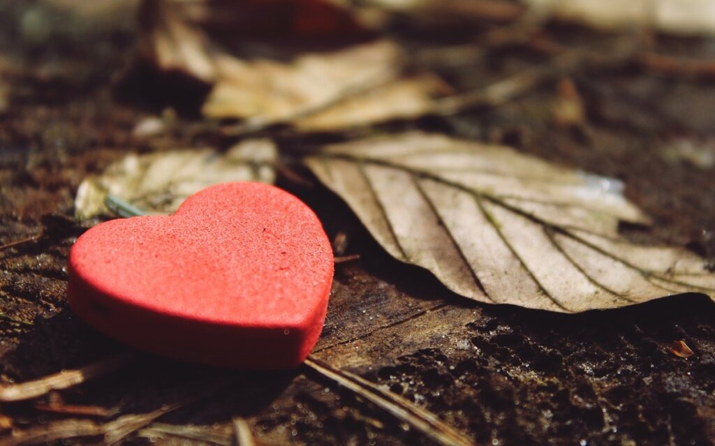 Corazón con hoja simbolizando cómo cambia la vida tras la muerte de un hijo