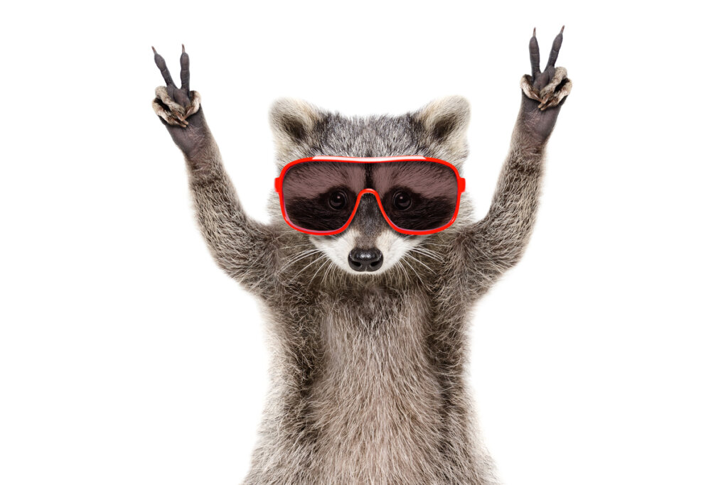 Animal con gafas de sol