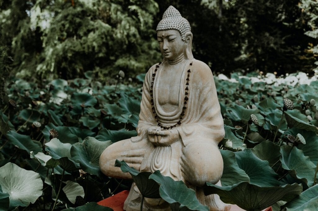Buddha and the Dhammapada