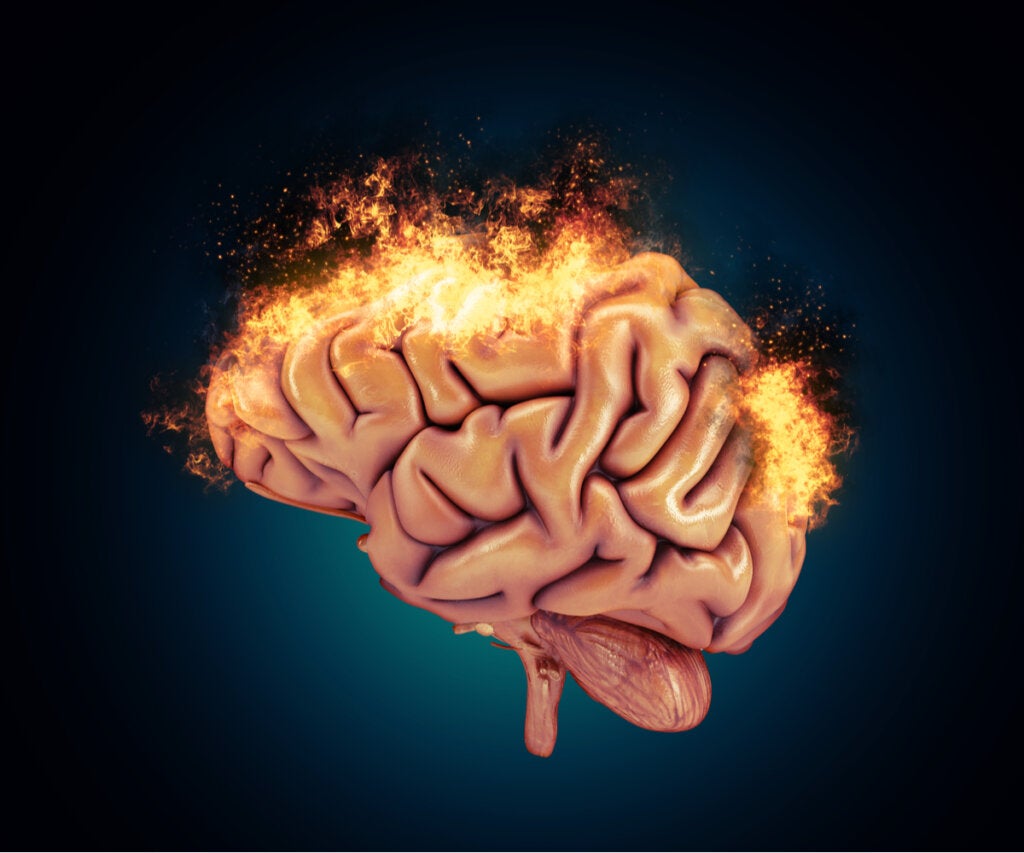 Cerebro ardiendo para representas las bases neurológicas de la agresividad