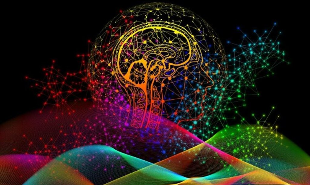 Las huellas dactilares del cerebro ¿qué son? ¿qué importancia tienen?