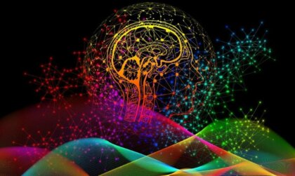 Las huellas dactilares del cerebro ¿qué son? ¿qué importancia tienen?