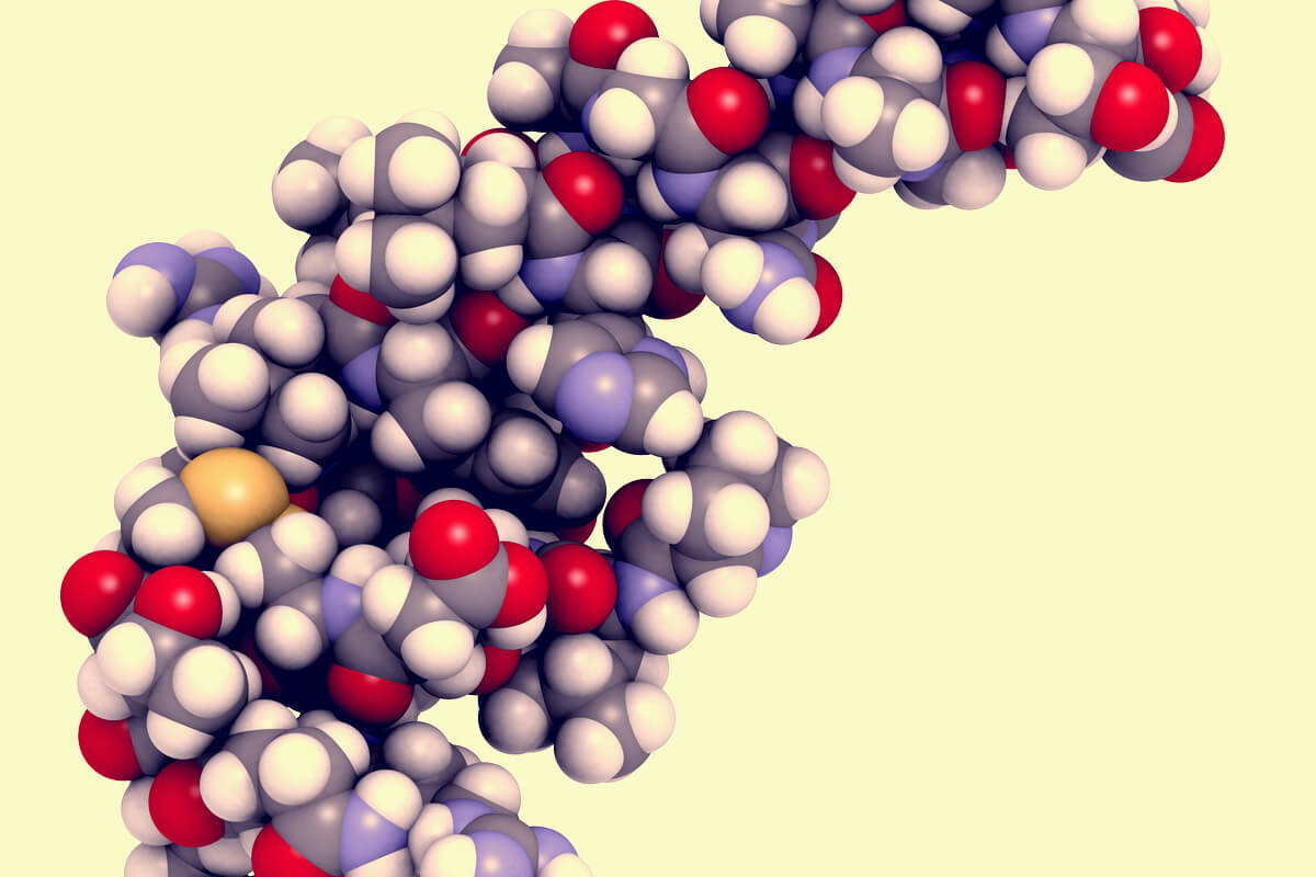 Hipocretina: características y funciones