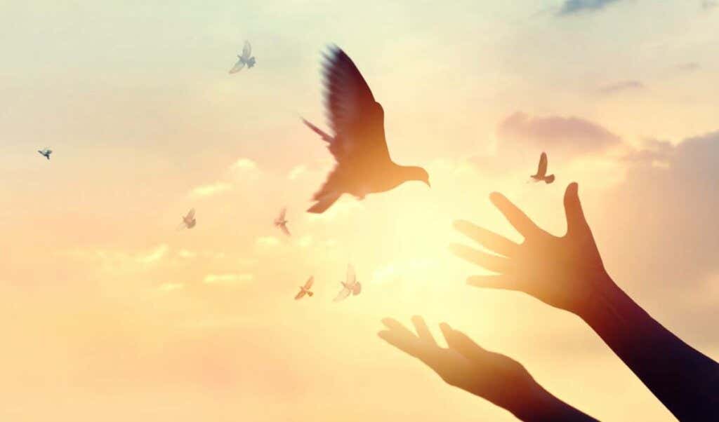hands with doves representing ubuntu
