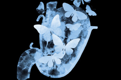 Las mariposas en el estómago sí existen, según la ciencia