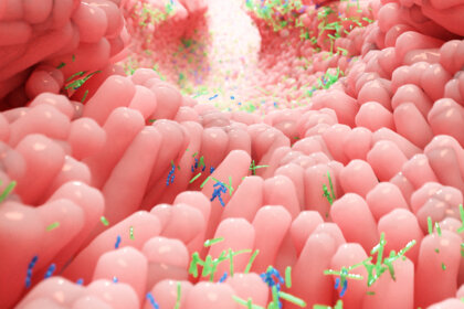Microbiota, estrés y ansiedad: ¿qué tienen en común?