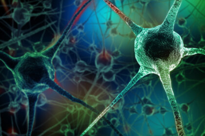 8 hábitos que matan neuronas