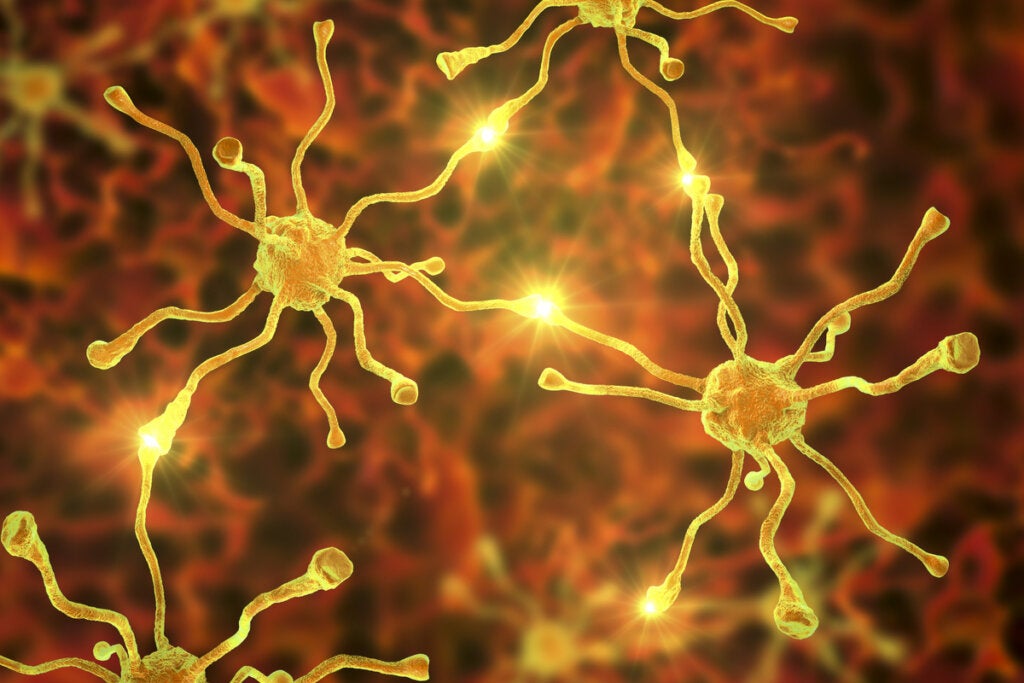 Actividad eléctrica entre neuronas