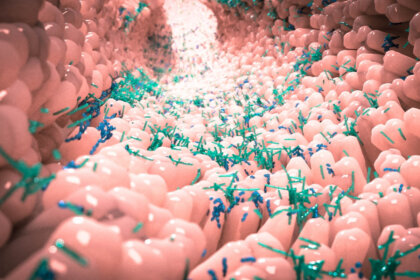 Las 10 funciones de la microbiota intestinal