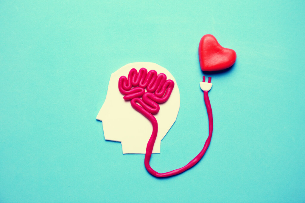 cerebro conectado a corazón representando el etiquetado emocional