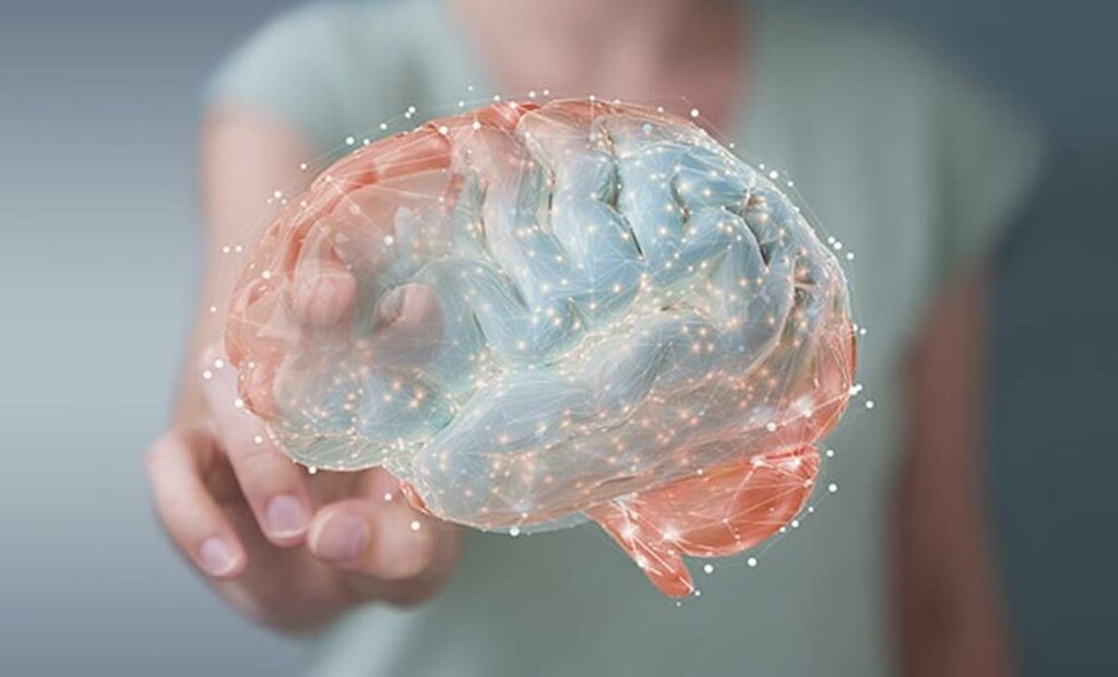 Cerebro representando la cuestión de dónde obtiene el cerebro la motivación y las ganas de vivir