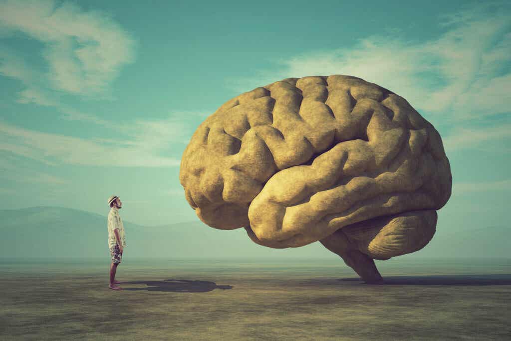 Hombre frente a un cerebro representando la necesidad de enfrentar la avaricia cognitiva