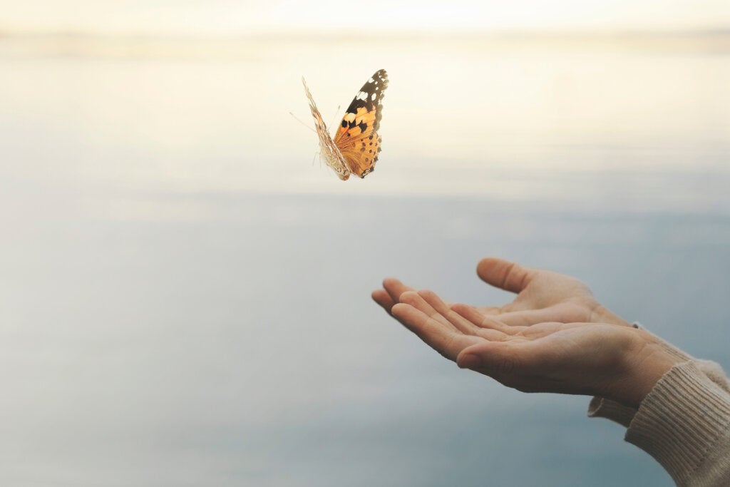 mano con mariposa representando cómo alcanzar el bienestar 