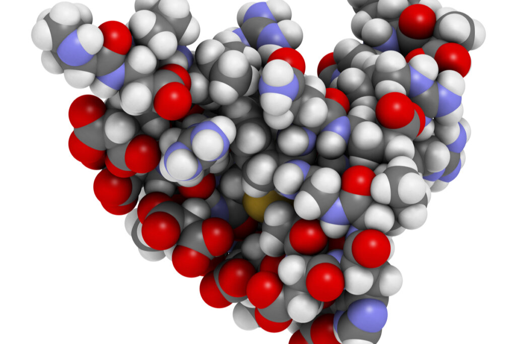 Osteocalcina