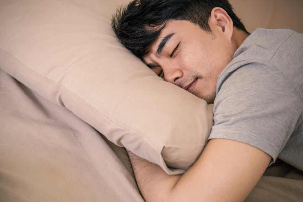 Hombre durmiendo siesta representando los cuatro tipos de cronotipos