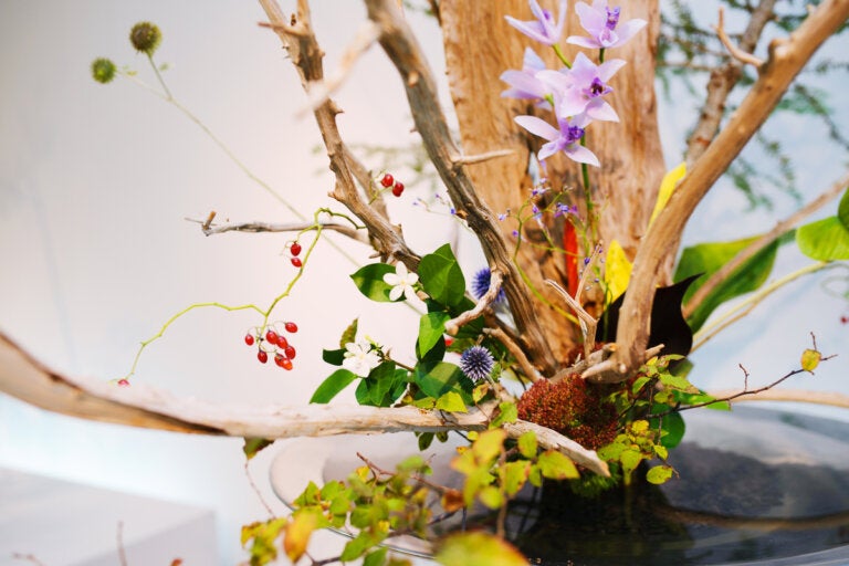Ikebana: el arte floral japonés para combatir el estrés y ser más feliz