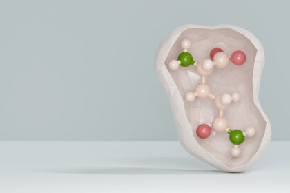 Glutamina: características y funciones