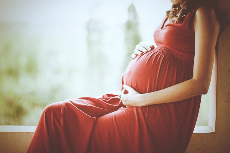 ¿Cómo afecta la maternidad al cerebro de la mujer?