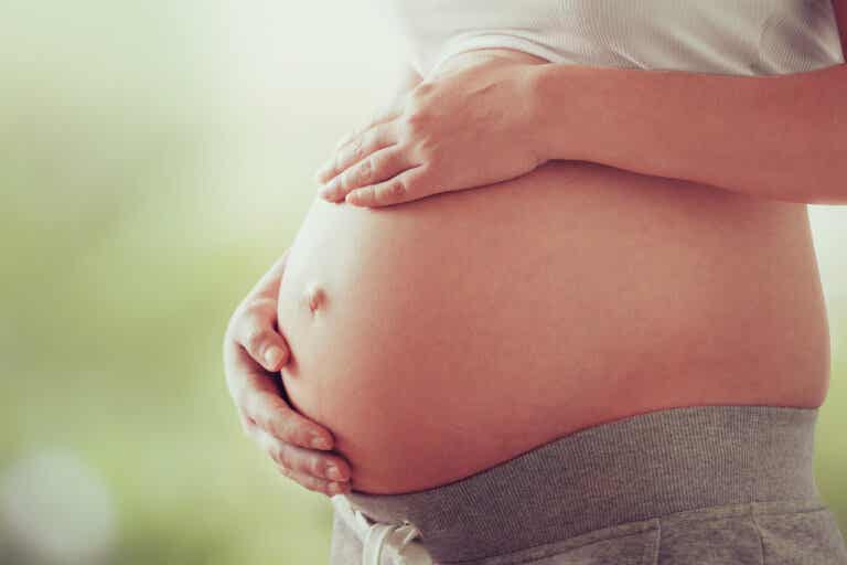 Microbiota y embarazo: ¿cómo se relacionan?