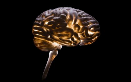 Neurocriminología: una disciplina cada vez más necesaria