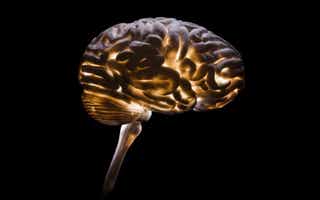 Neurocriminología: una disciplina cada vez más necesaria