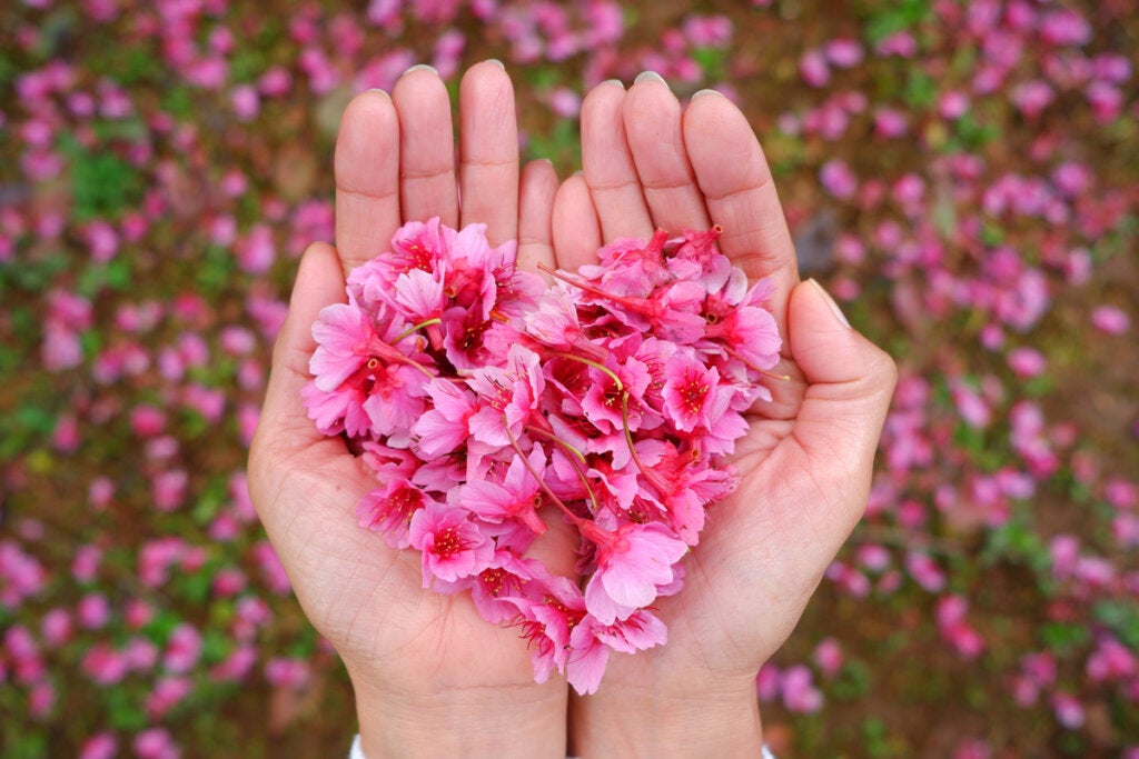 Main avec un coeur de fleurs