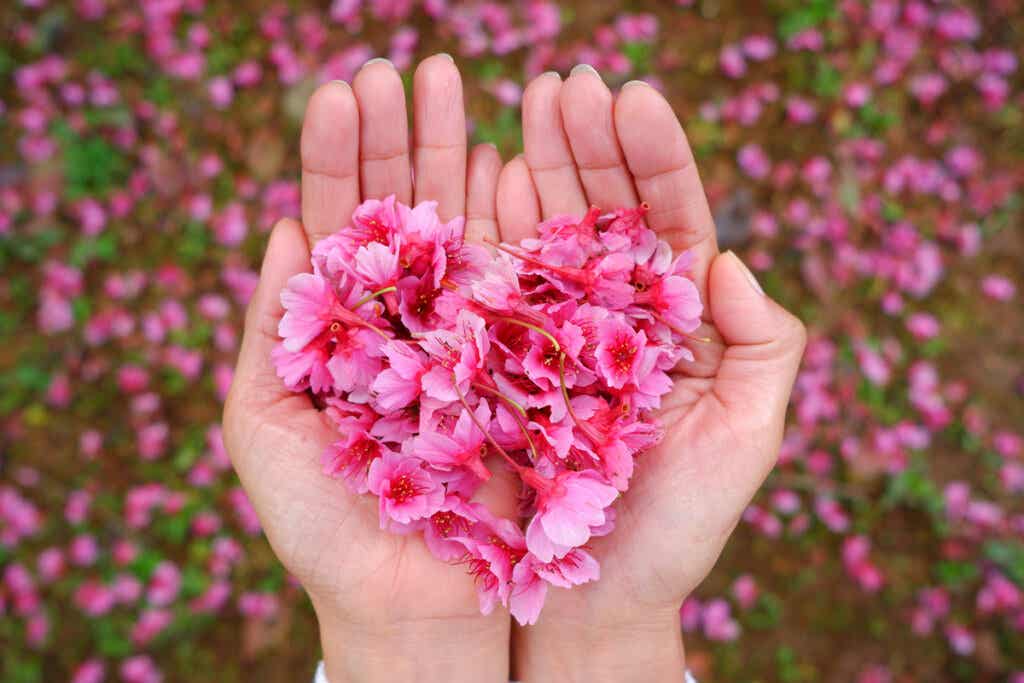 Hand met een hart van roze bloemen