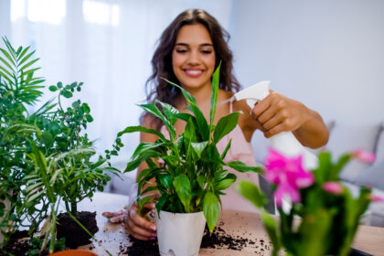 7 beneficios psicológicos de tener plantas
