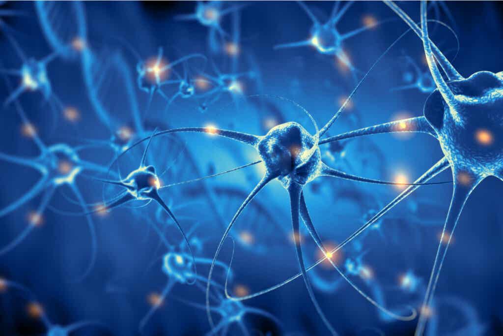Neuroner