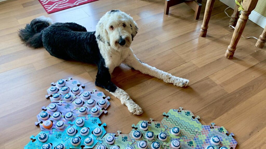 Bunny con su teclado para enseñar a hablar a los perros