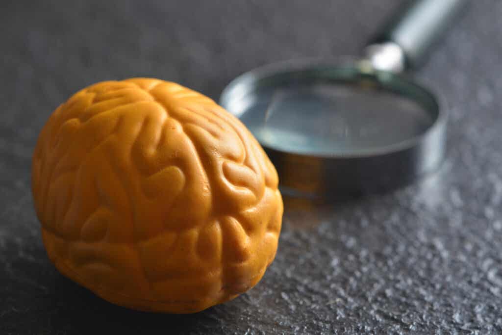 Yellow brain with magnifying glass