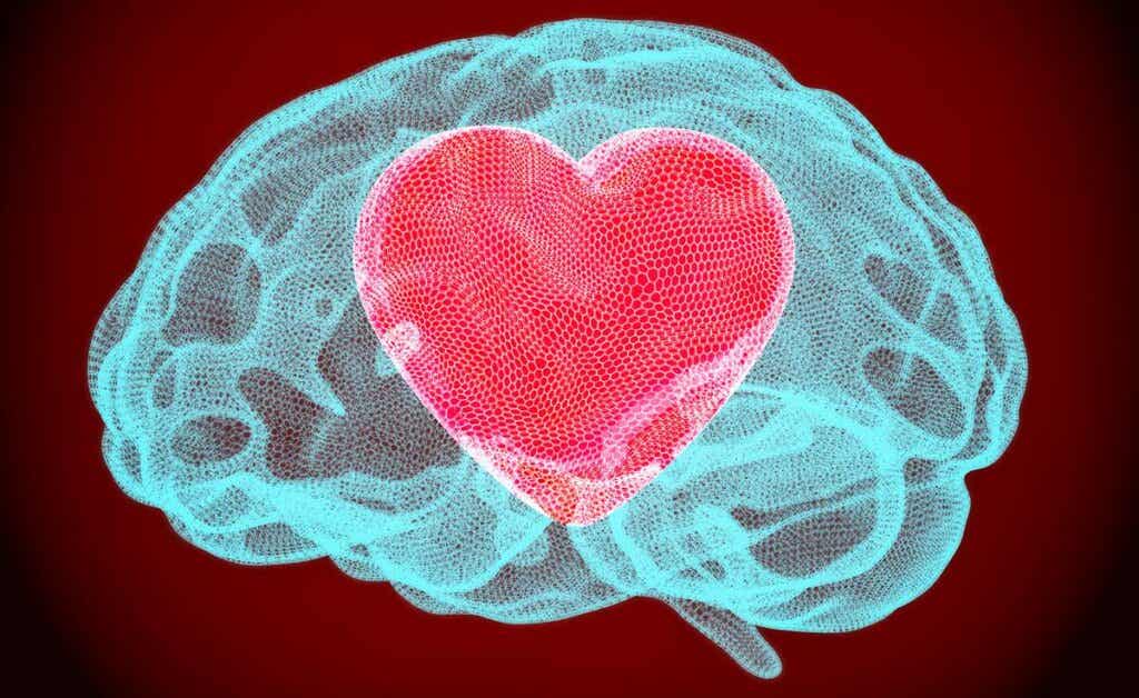 cerebro con corazón para representar cómo es el cerebro sinestésico