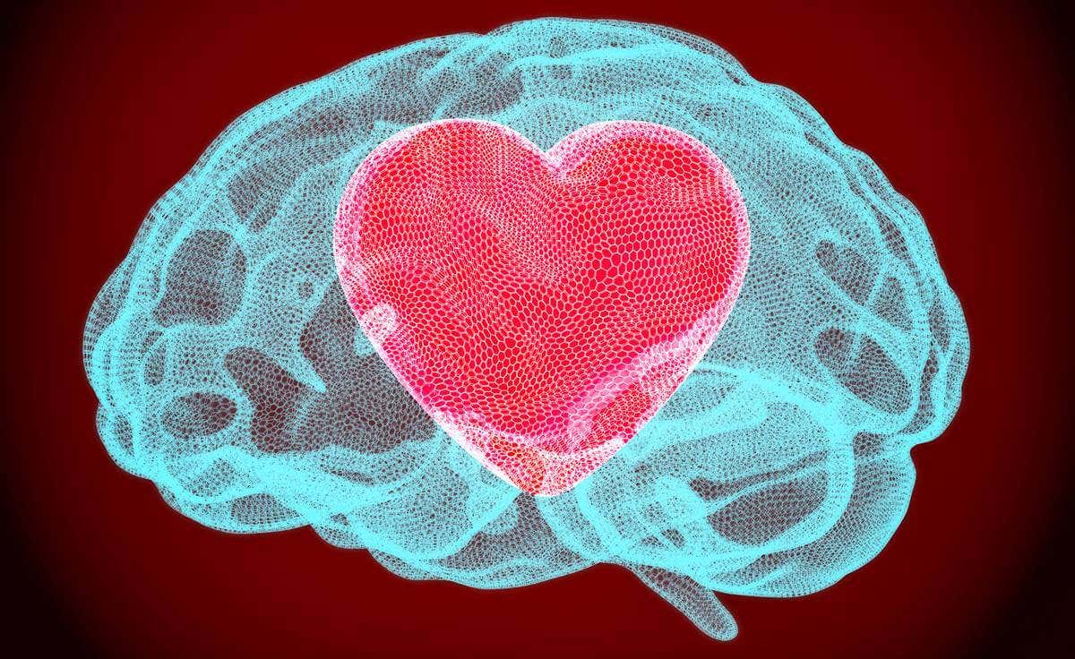 Neurobiología del perdón: así cambia el cerebro cuando perdonamos