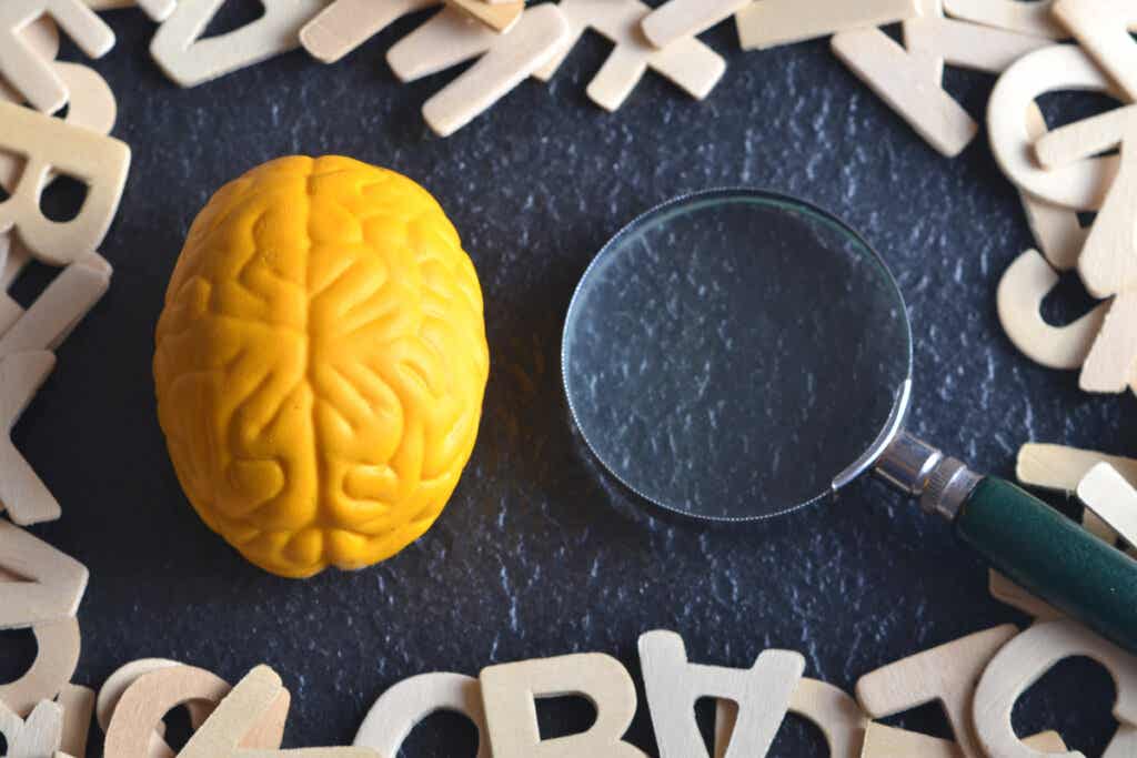 Cerebro y una lupa rodeados de letras