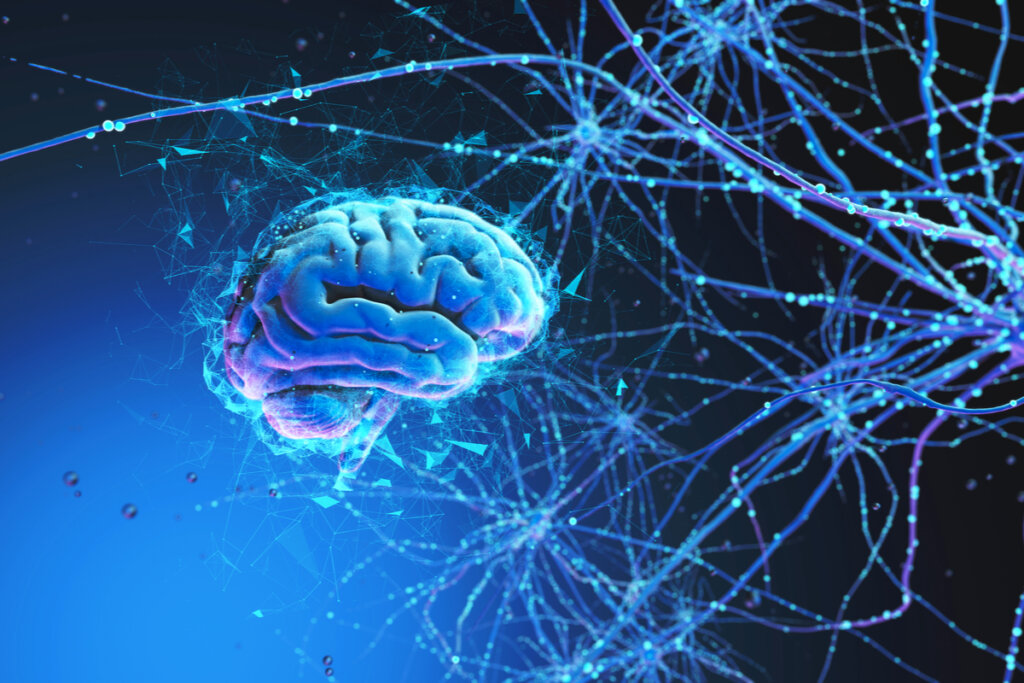 Brain with neural networks