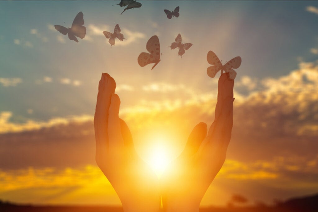 Handen met de zon en vliegende vlinders om emotionele vrijgevigheid te vertegenwoordigen