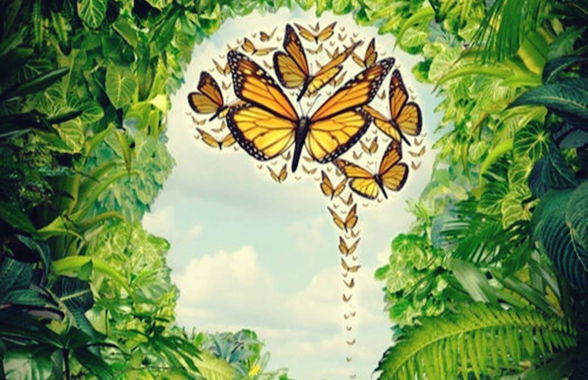 Mente de mariposa: la creatividad desbocada, pero poco útil