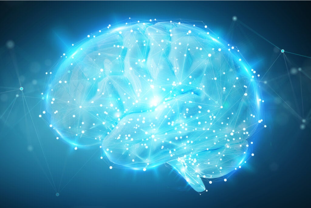 Cerebro iluminado representando que dormir poco crea falsos recuerdos