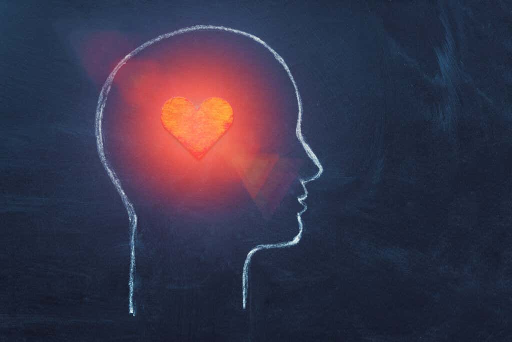 Podświetlone serce reprezentujące 4 typy osobowości, według Helen Fisher