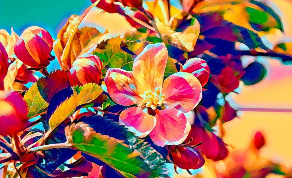 flores coloridas para simbolizar Cómo es el cerebro sinestésico