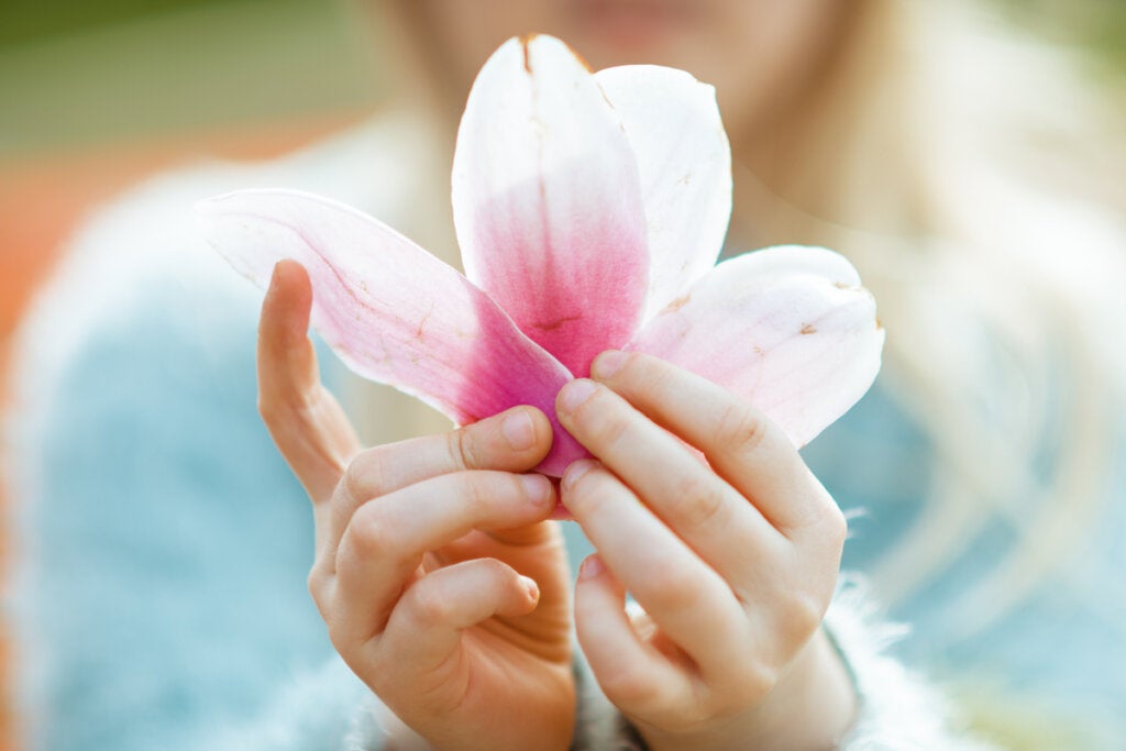 Hånd som holder en blomst